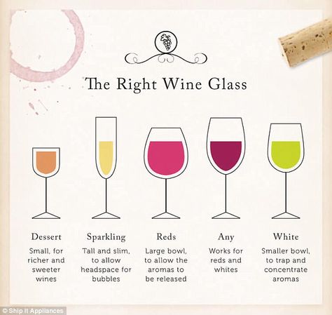 What's the difference between red and white wine glasses?
